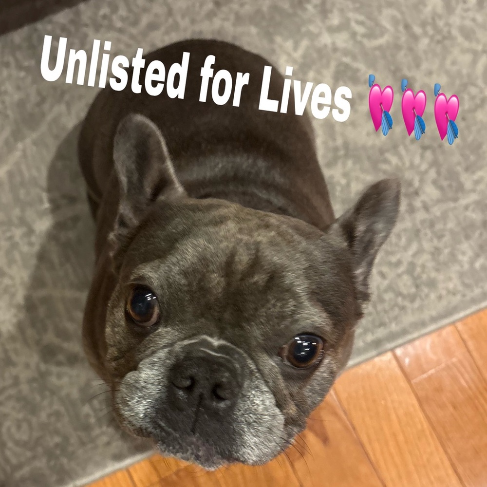 Unlisted Item for Lives 💘